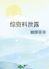 《综资料泄露》