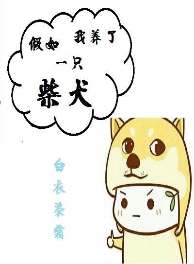 假如我养了一只柴犬 [参赛作品]