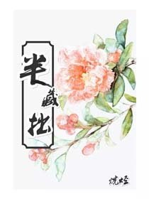 半藏拙