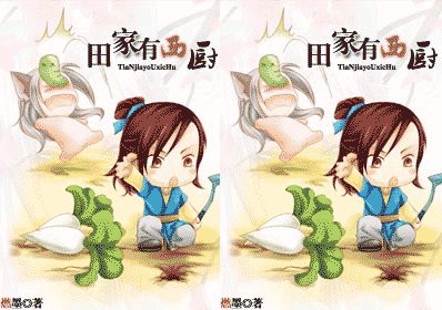 田家有西厨