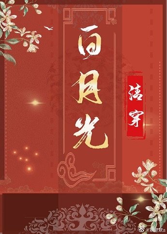《清穿之白月光(穿书)》