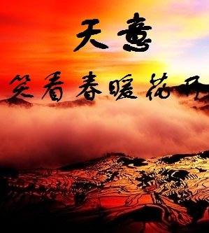 天意