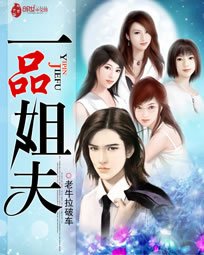 《一品姐夫》
