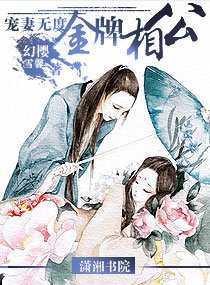 《宠妻无度——金牌相公》