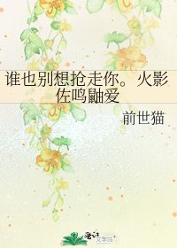 《谁也别想抢走你。火影佐鸣鼬爱》