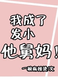 《我成了发小他舅妈》