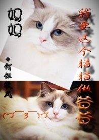《妈妈,我要这个猫猫做爸爸》