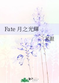 Fate 月之光輝