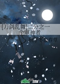 [刀剑乱舞]二分之一个审神者