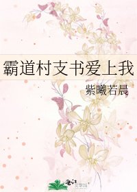 霸道村支书爱上我