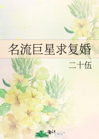 《名流巨星求复婚》