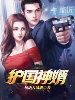 《护国神婿》