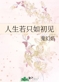 《人生若只如初见》