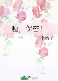 《嘘,保密!》