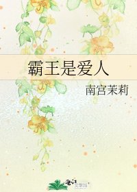 《霸王是爱人》