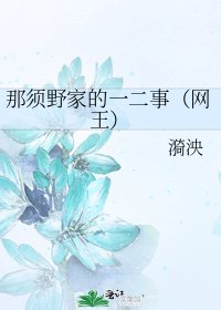 《那须野家的一二事(网王)》