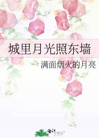城里月光照东墙