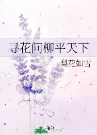 《寻花问柳平天下》