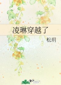 《凌琳穿越了》