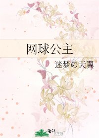 网球公主