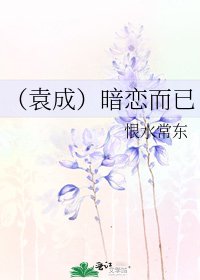 《(袁成)暗恋而已》