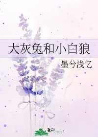 大灰兔和小白狼