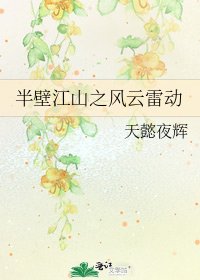 《半壁江山之风云雷动》
