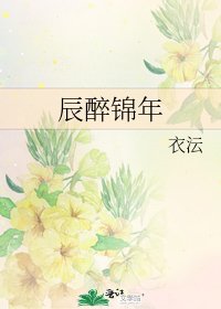 辰醉锦年