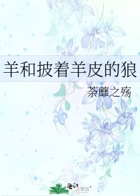 《羊和披着羊皮的狼》