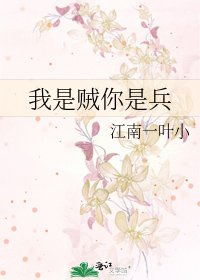 《我是贼你是兵》