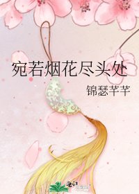 《宛若烟花尽头处》