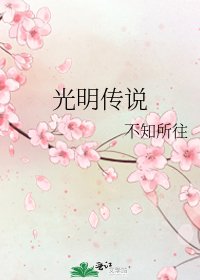 《光明传说》