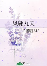 凤翱九天