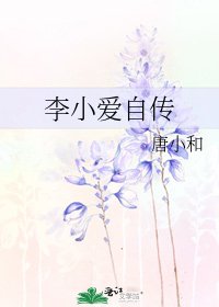 《李小爱自传》