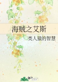 《海賊之艾斯》