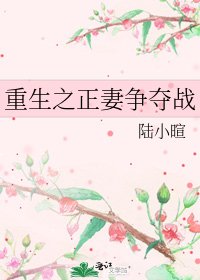 重生之正妻争夺战