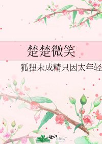 《楚楚微笑》