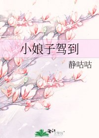 《小娘子驾到》