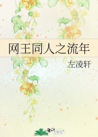 《网王同人之流年》