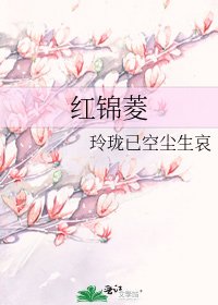 《红锦菱》