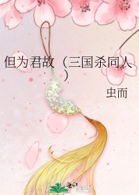 《但为君故(三国杀同人)》