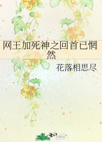 网王加死神之回首已惘然