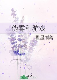 《伪零和游戏》