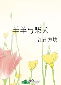 《羊羊与柴犬》
