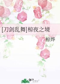 [刀剑乱舞]椋夜之境