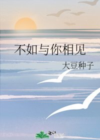 《不如与你相见》