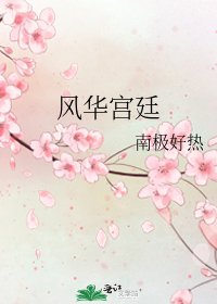 《风华宫廷》