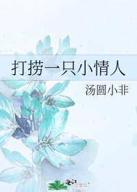 《打捞一只小情人》