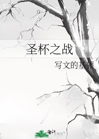 《圣杯之战》