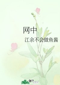 網中